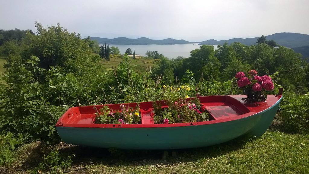 Guesthouse Mitsiopoulou Neochori  Zewnętrze zdjęcie